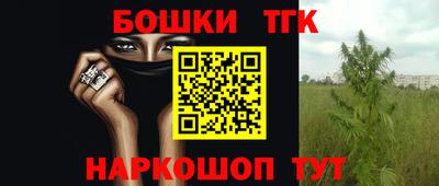 тгк Канаш