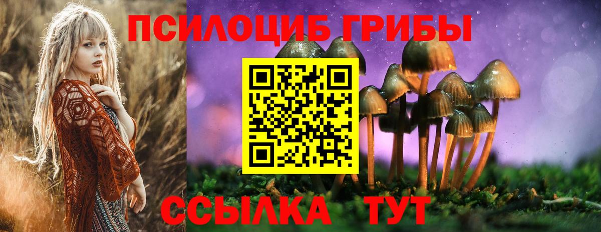 Галлюциногенные грибы ЛСД  Вход с VPN  Псилоцибиновые грибы прущие грибы  Буйнакск 